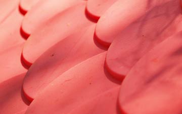 Nettlesworth plastic roof costs