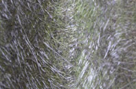 Nettlesworth fibreglass roof work